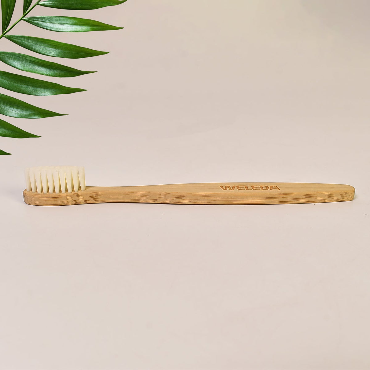 Ergonomic wooden handle of MintGuard bamboo toothbrush for comfortable grip